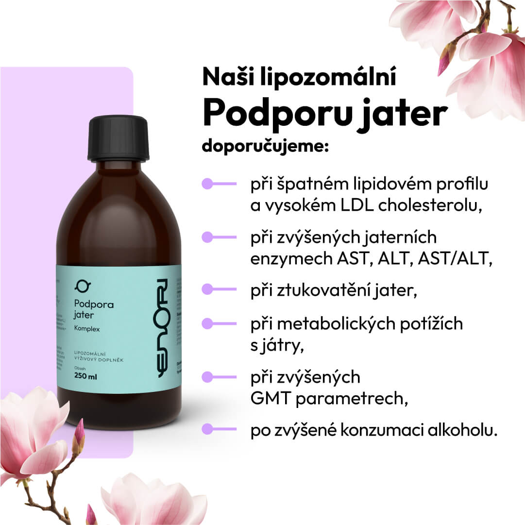 Podpora jater